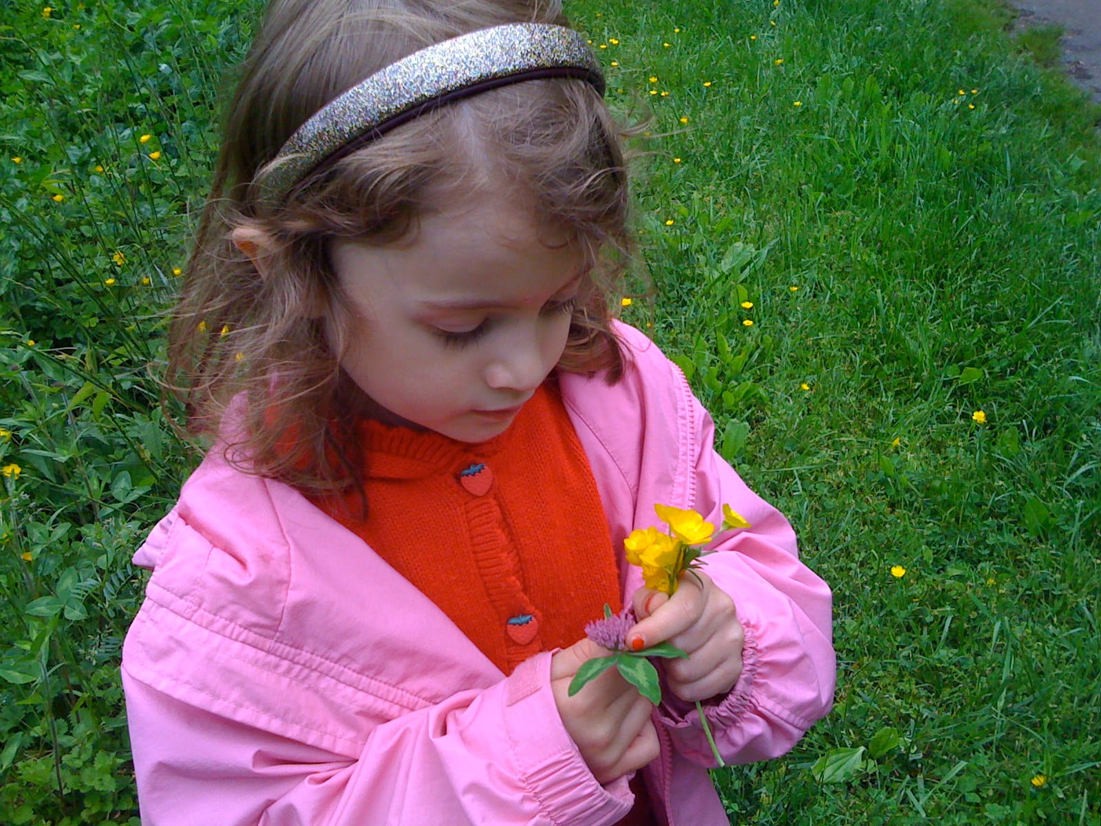 The Five Pillars of Parental Sovereignty